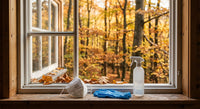 FFP2 respirator and gloves on a cabin windowsill in an autumn forest - Hantavirus prevention guide | parahealth